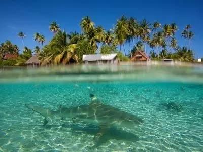 最低8℃！海南网友：南 你冷得让我陌生