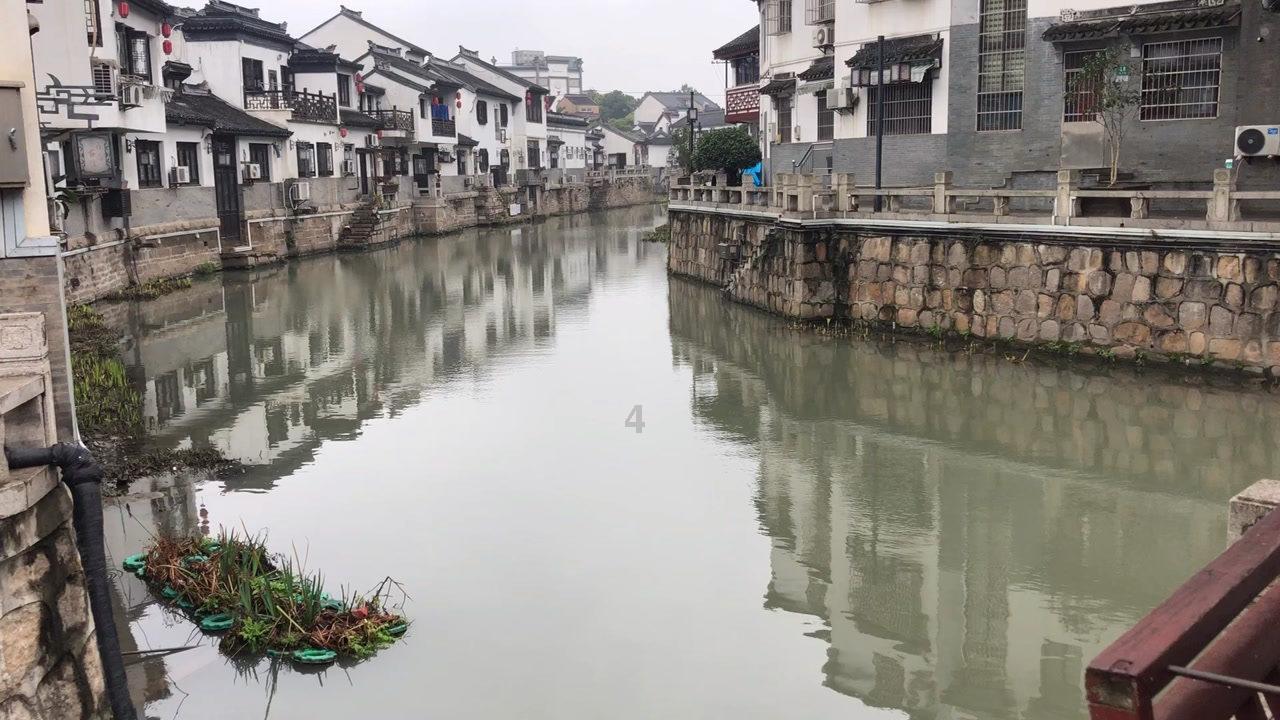 玛丽皇后的时装